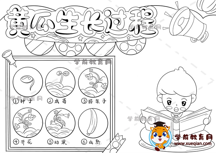 黃瓜生長過程手抄報